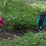 image021
