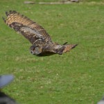 image1280094